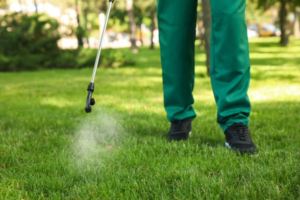 Professional Pest Control in Rigby, ID