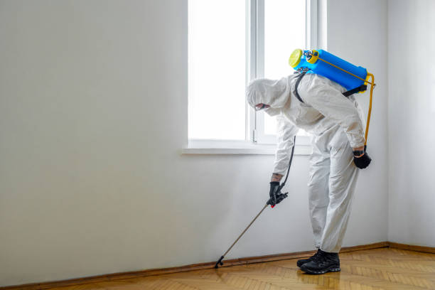 Pest Control for Restaurants in Rigby, ID